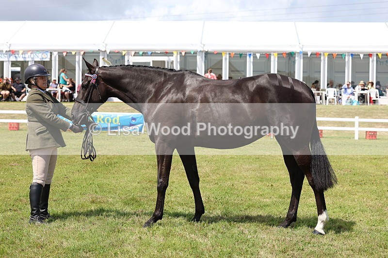 3E7A1238 - Class 8: Open Riding Horse/Hack