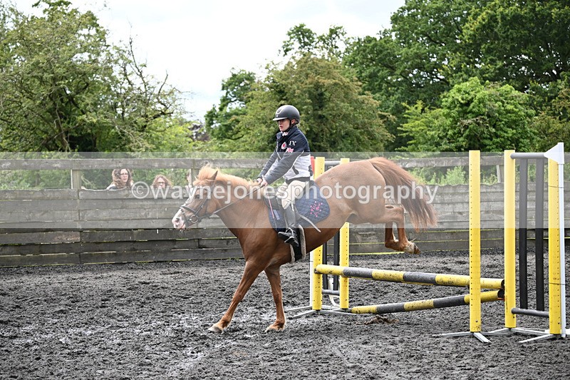 WJ6_0166 - Class 13 Novice 60cm