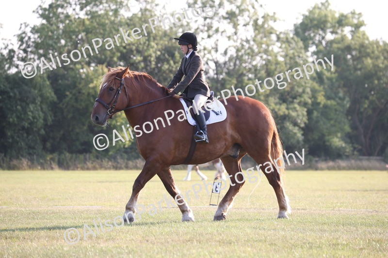 20250731-0793 - Class 1 - Intro 4