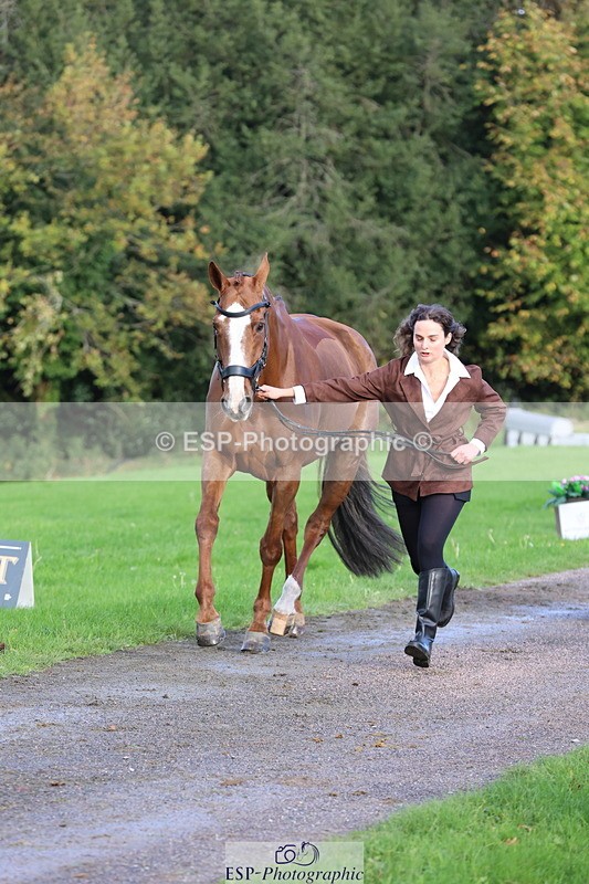 251026A-100002-22649 - D-368-Emma.Pine