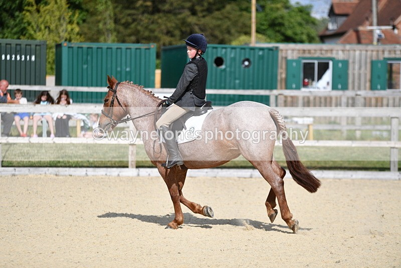 WJ5_7995 - Time 16:56 to 17:14