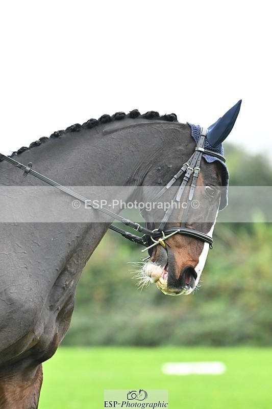 241024-134954-04218 - 330-Sophie.Drummond-EDELMAN