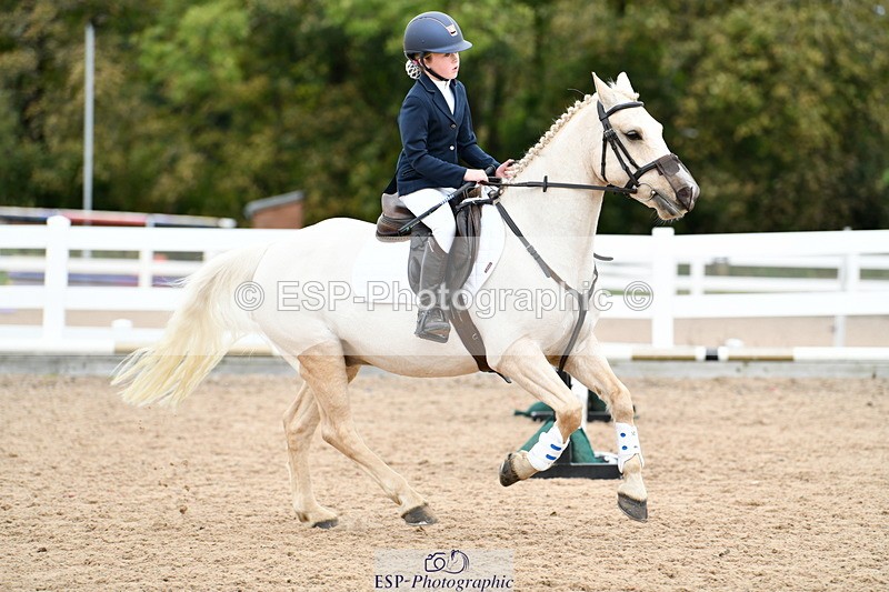 241013B-131122-01208 - Cls 3 50cm