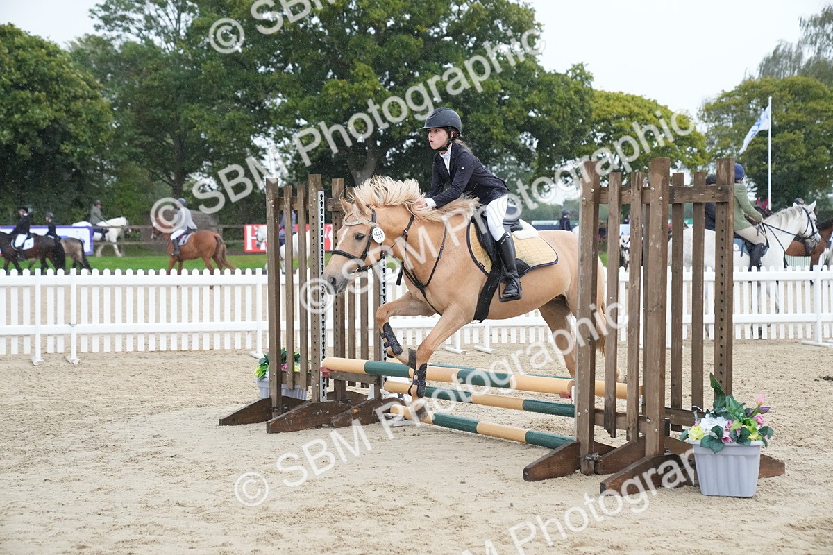 SBM_01606 - J54 - Clear Round 50cm