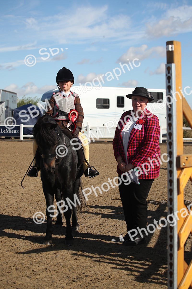 SBM_12698 - Class 504a - Junior Working Veterans - 40cm (15-19)