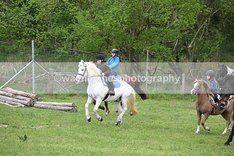 WJ6_3016 - A Camera
