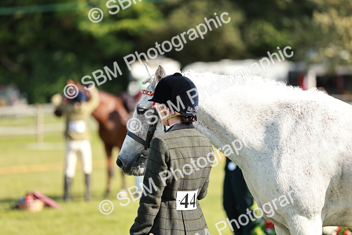 SBM_19312 - Class 115-116 - LIHS BSHA Rising Star Working Hunter & Show Horse