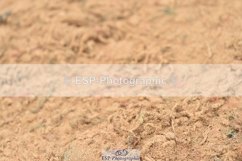 230720A-135032-03203 - Cls 21, 1 Star Gold 1.30m