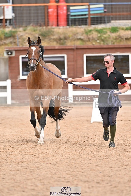 250716-162120-02591 - Trot Up 3.30 to 4.30