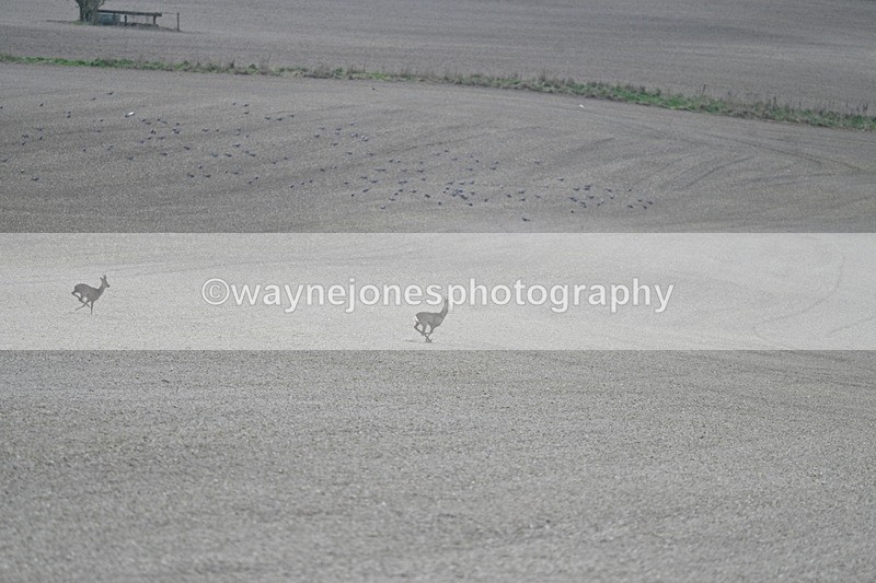 WJ7_7967 - Line 2 A camera