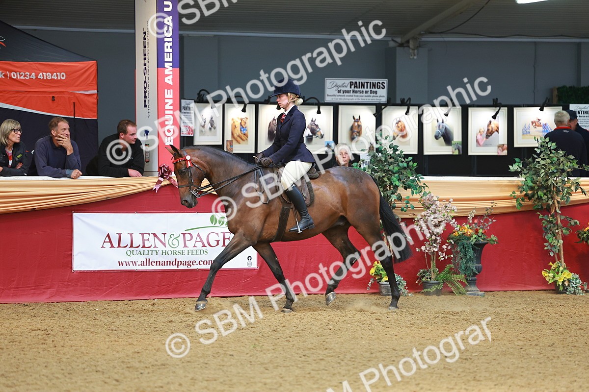 SBM_10624 - Class 103 - HOYS Veteran Qualifier - Ridden Pre Vet