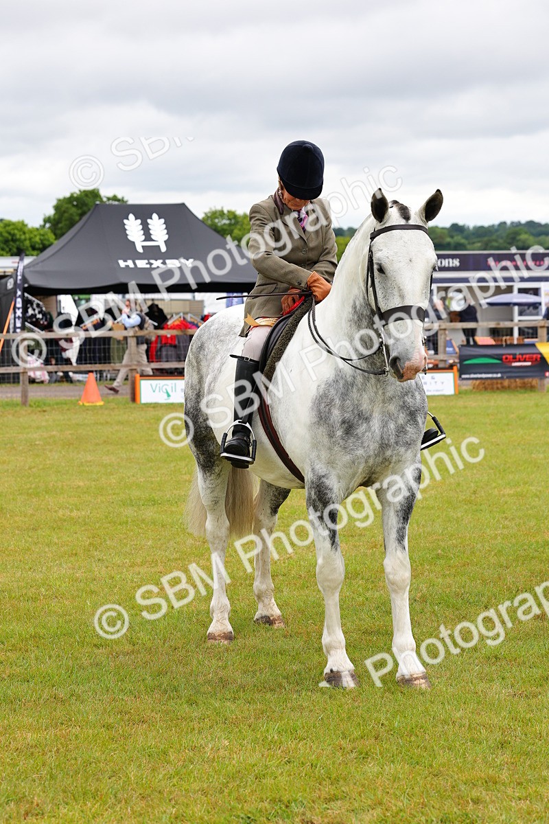SBM_02553 - Class 9-11 Side Saddle including LIHS Rising Star Ladies Show Horse
