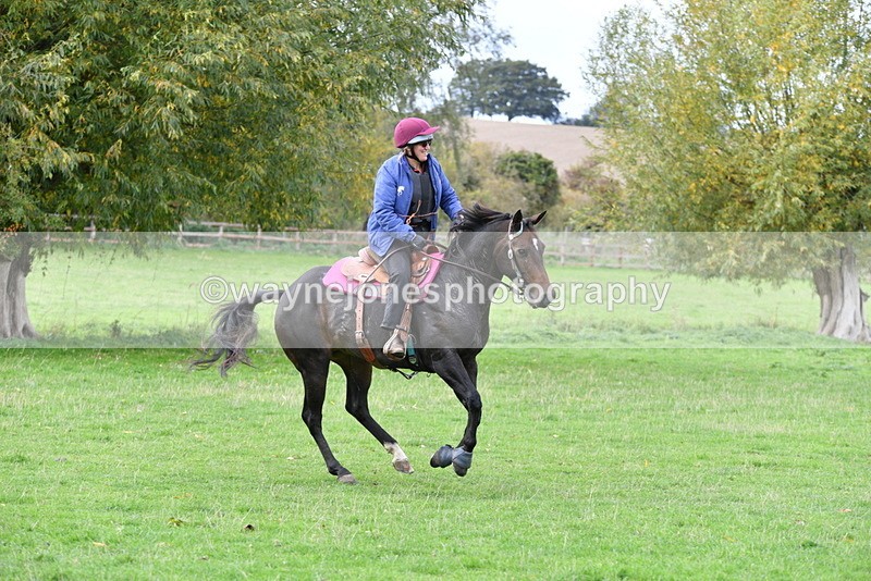 WJ5_0146 - Time 13:25 to 13:58