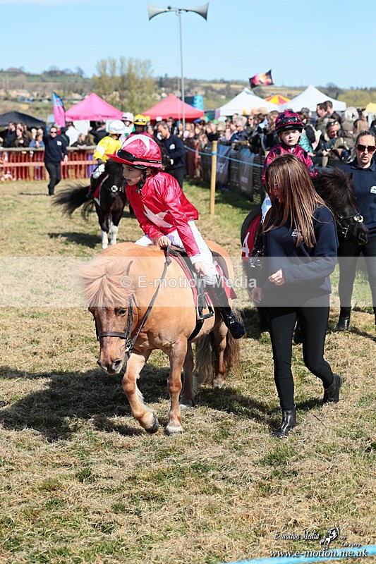 Shet 060426 68 - Shetland Pony Racing Paxford Races Easter Mon 06/04/26