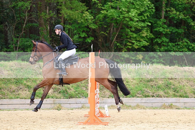 3E7A6036 - Class 4: Senior British Novice/90cm open