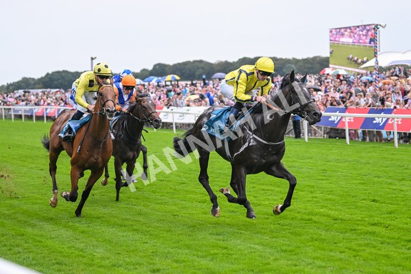 080925-Race 1-Proud Nation-7178 - Race 1 2.30pm Enter ITV7 For Free Confined EBF Maiden Stakes