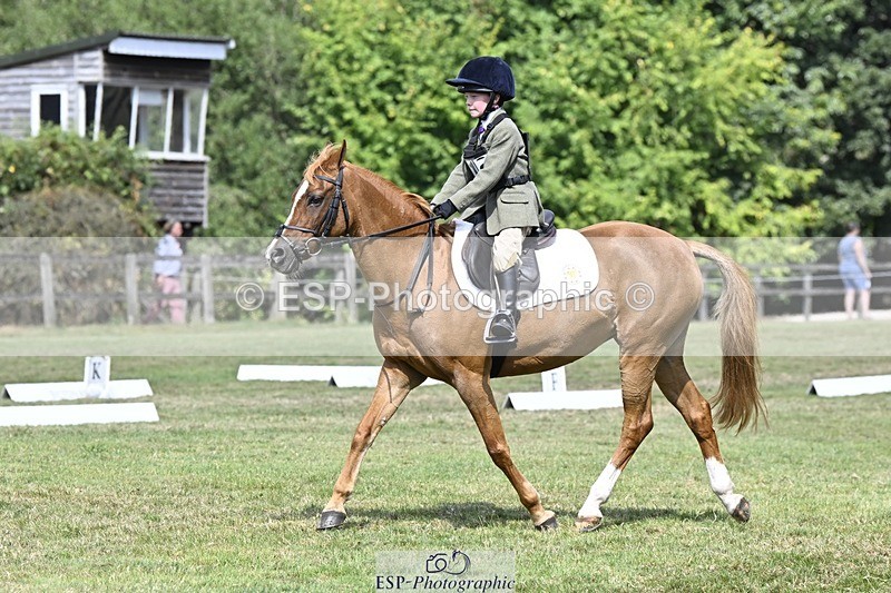 250822A-121208-22617 - DR 11.00 to 12.00