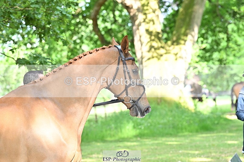 250521A-165634-01420 - C-273-Tim.Cheffings-HEARSAY.LARK.RISING