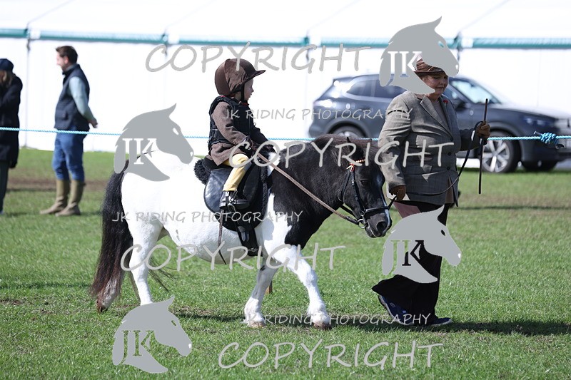 APP_3795 - Class 13 Lead rein