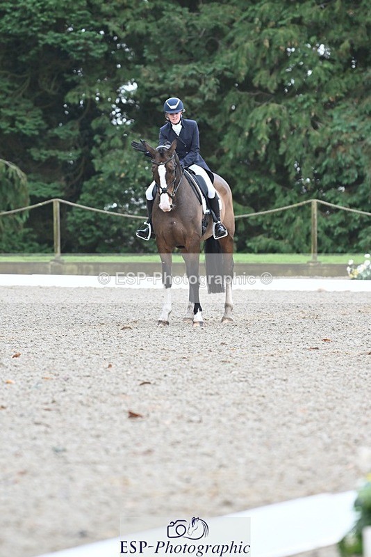 231019-104927-01984 - 103-BEECH.HILL.KIKO.CLOVER-Harriet.Blair-DR