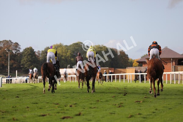 yr07102022r4-49 - Race 4 3.50pm William Hill Best Odds Guaranteed Stakes