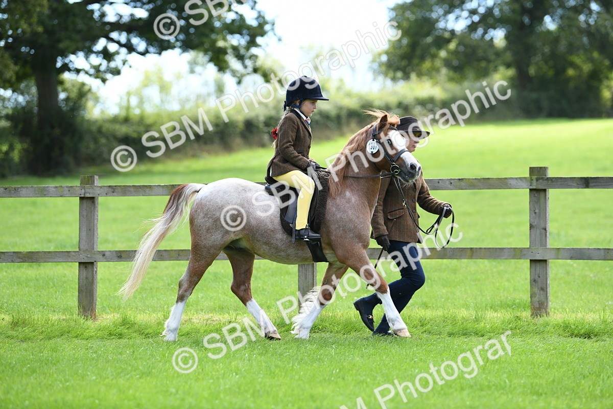 SBM_42497 - S20 - Lead Rein Mountain & Moorland Pony
