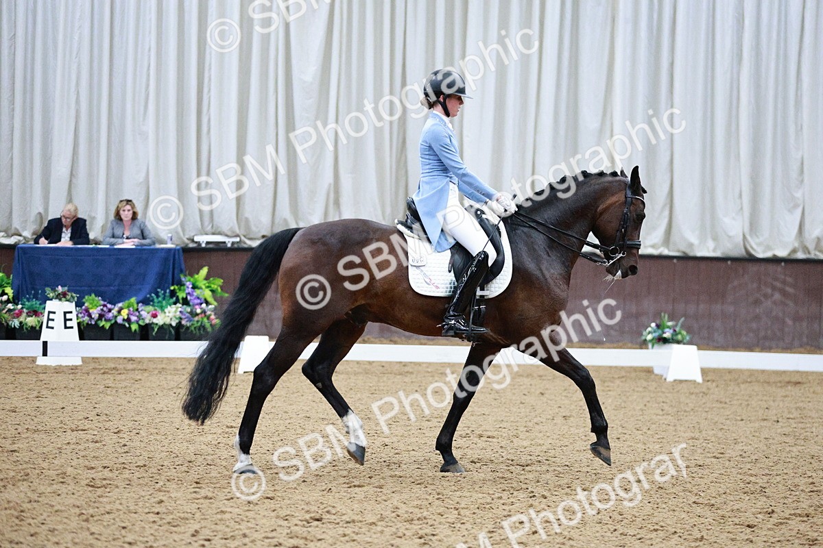 SBM_020724 - Class 13 - FEI INT I - 15.30-16.00