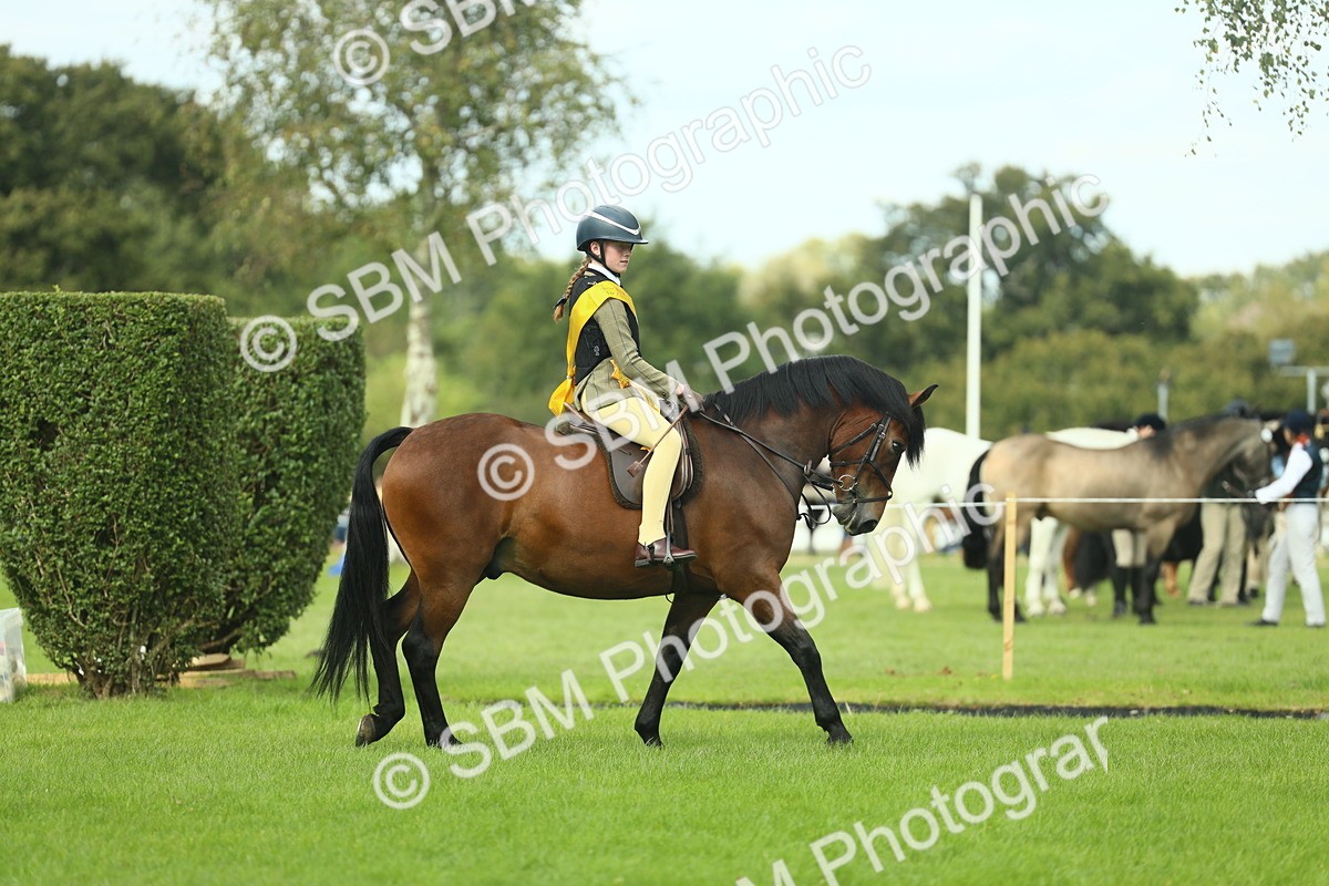 SBM_44856 - Working Hunter Pony Supreme Championship