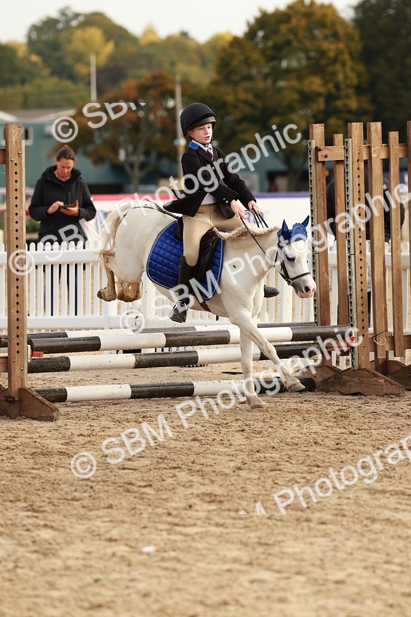 SBM_55739 - J11 - Junior Pony 50cm Championship