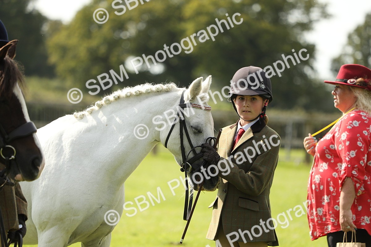 SBM_68561 - S40 - Junior Handler 9-12 Years