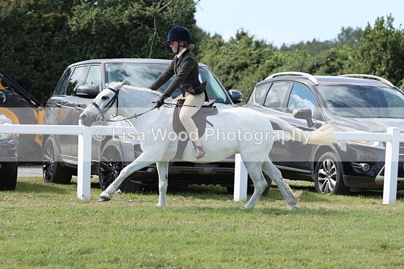 JPP_2398 - Class 19: Working Hunter 60cm