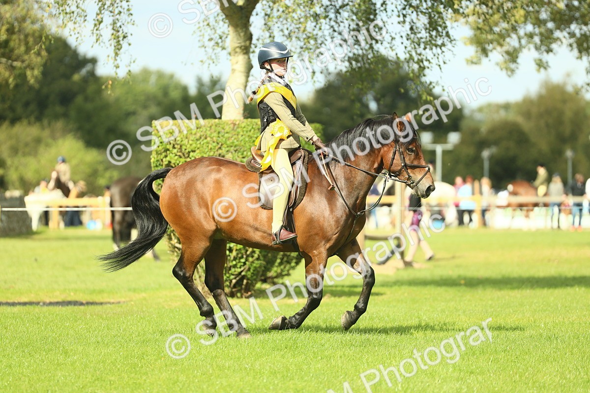 SBM_44936 - Working Hunter Pony Supreme Championship