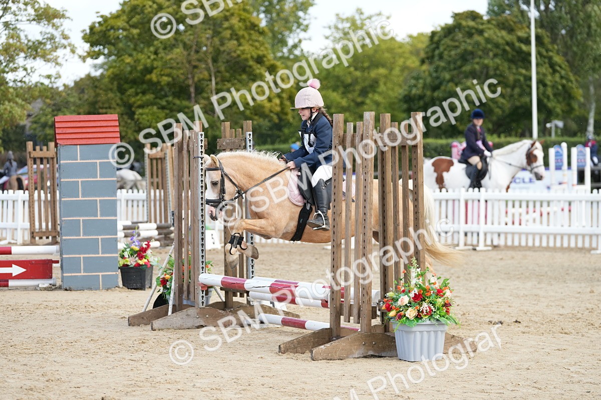 SBM_21138 - J49 - Open 50cm