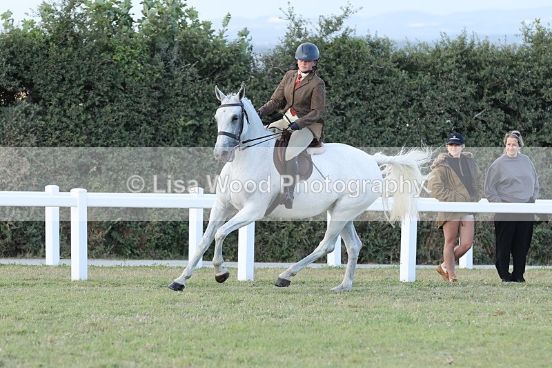 JPP_3699 - Class 24: Open Working Hunter