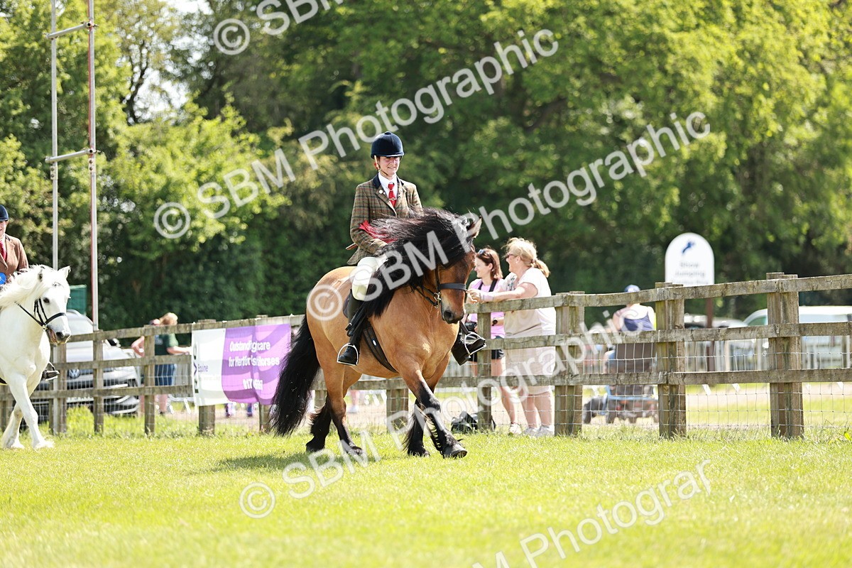 SBM_07219 - Class 26-30 - Mountain and Moorland Ridden