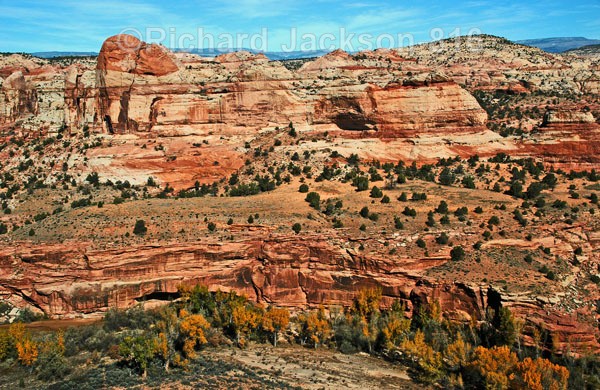 Sandstone Puzzle - Capital Reef National Park