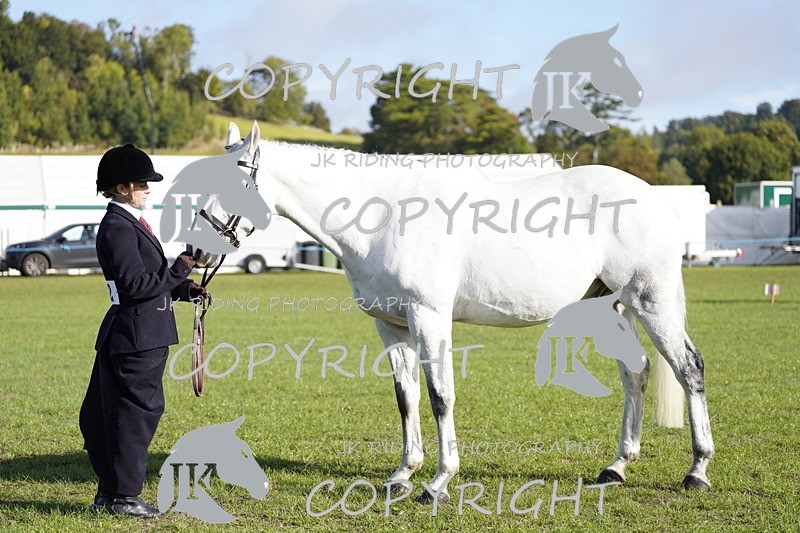 _DSC9534 - Class 8 & 17 Ridden Hunter & Ridden Hunter Pony