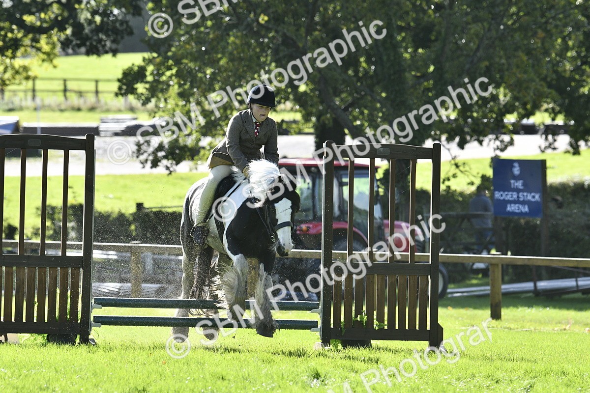 SBM_38193 - S31 - Novice & Newcomer Working Hunter Pony