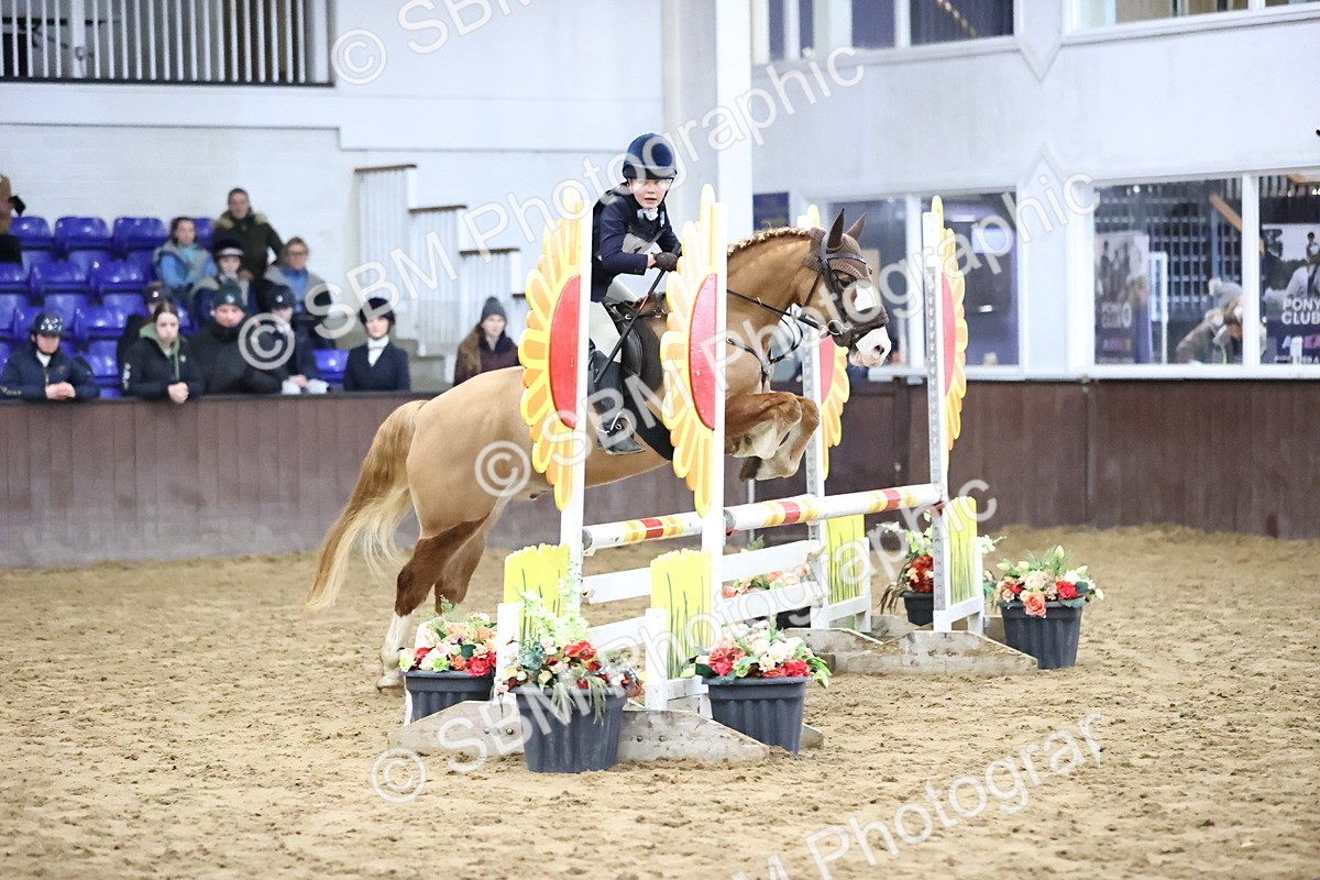 SBM_000715 - Class 2 - 80cm