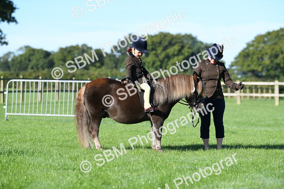 SBM_35311 - S17 - Condition & Turnout - Lead Rein