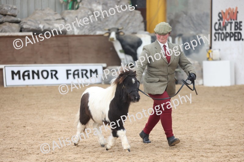 20251109-0170 - Class 9 - Foals