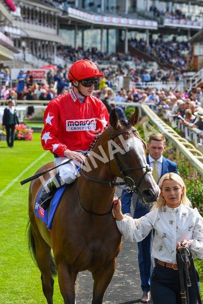 260823-Race 1-Spirit Dancer-0064 - Race 1 Sky Bet And Symphony Group Strensall Stakes