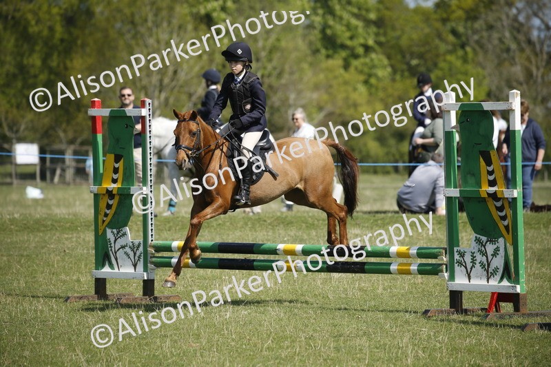 20250427-2085 - Class 13 - Novice Jumping 60cm