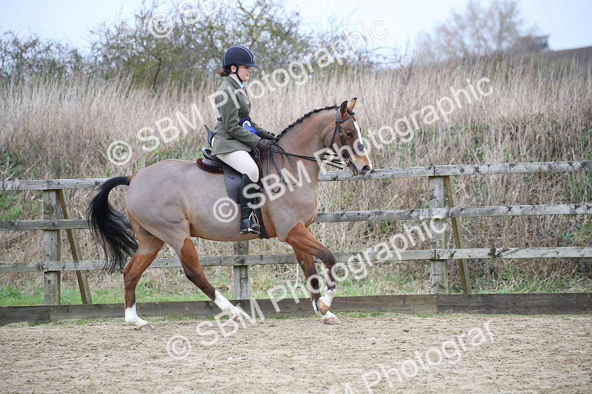 SBM_004692 - Class 5-9 - NPS In Hand-Show Hunter-Intermediate Ridden Inc Ridden Championship