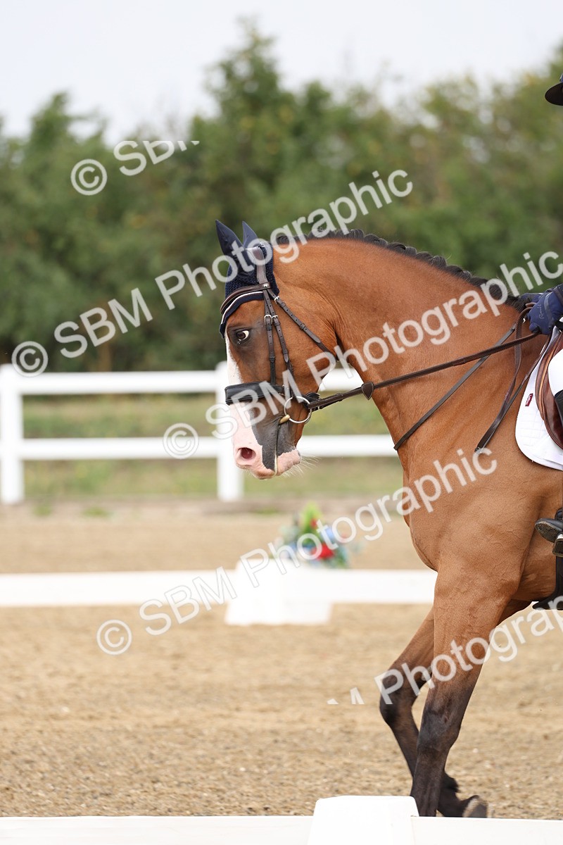 SBM_006263 - Class 6 - novice 6 - 11.50-12.46