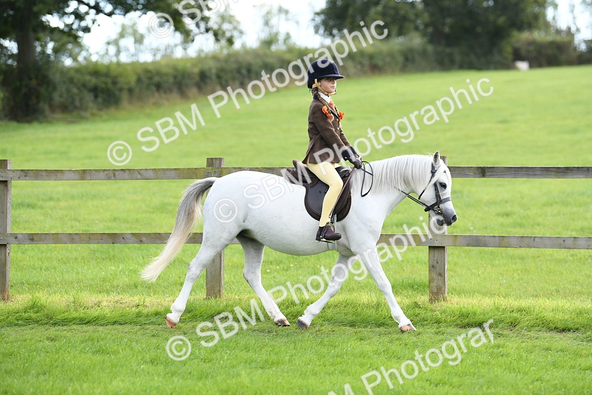 SBM_46713 - S12 - Family Horse & Pony