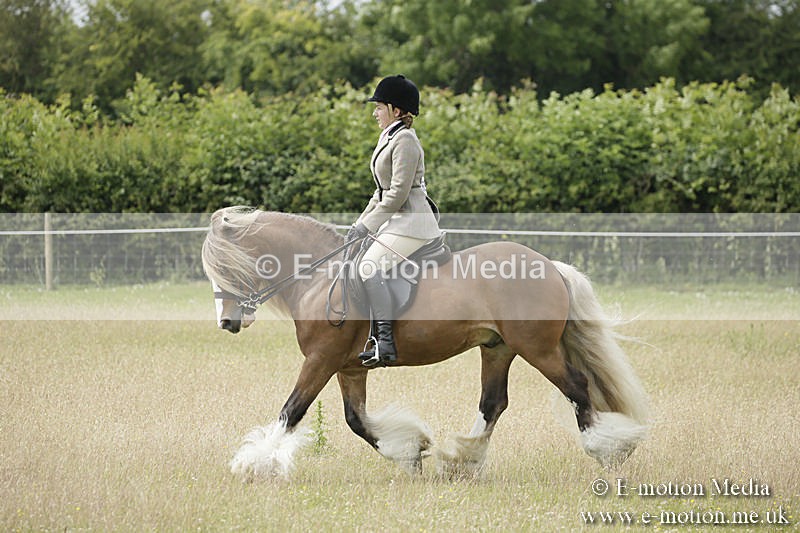B230619-0439 - Bourne Valley Riding Club Summer Show 23/06/19
