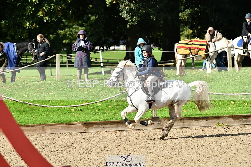 251004A-120019-00850 - Classes 4 & 5 50cm