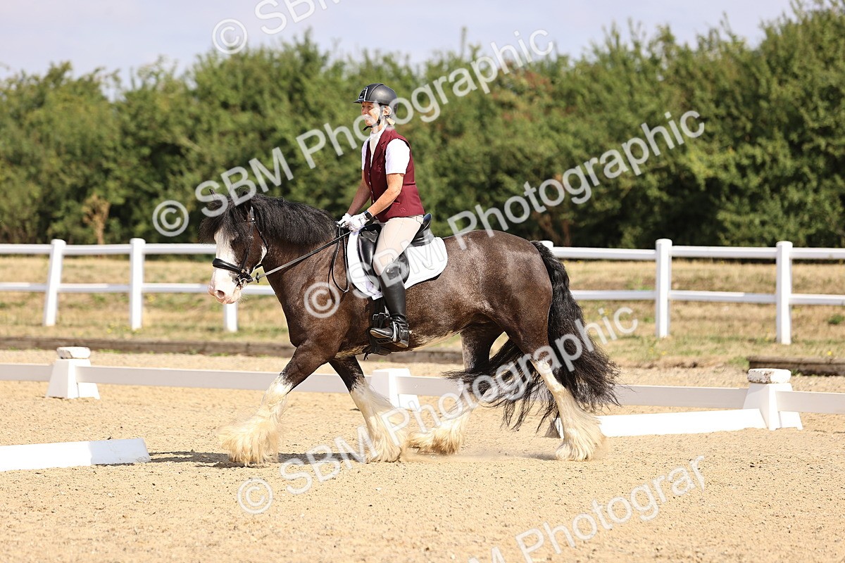 SBM_006490 - Intro 3 - 9.46-10.46