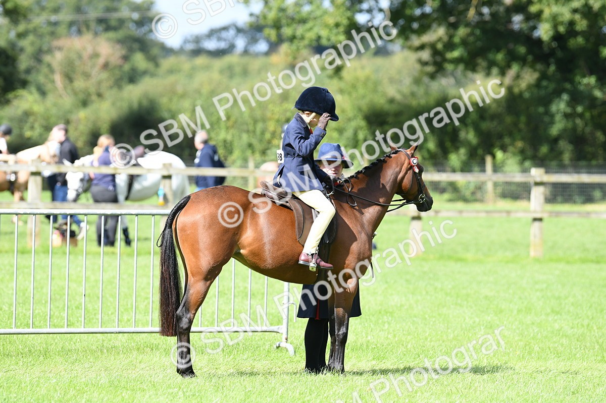 SBM_41175 - S19 - Lead Rein Show & Show Hunter Pony